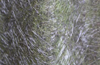 Pedlars End fibreglass roof work